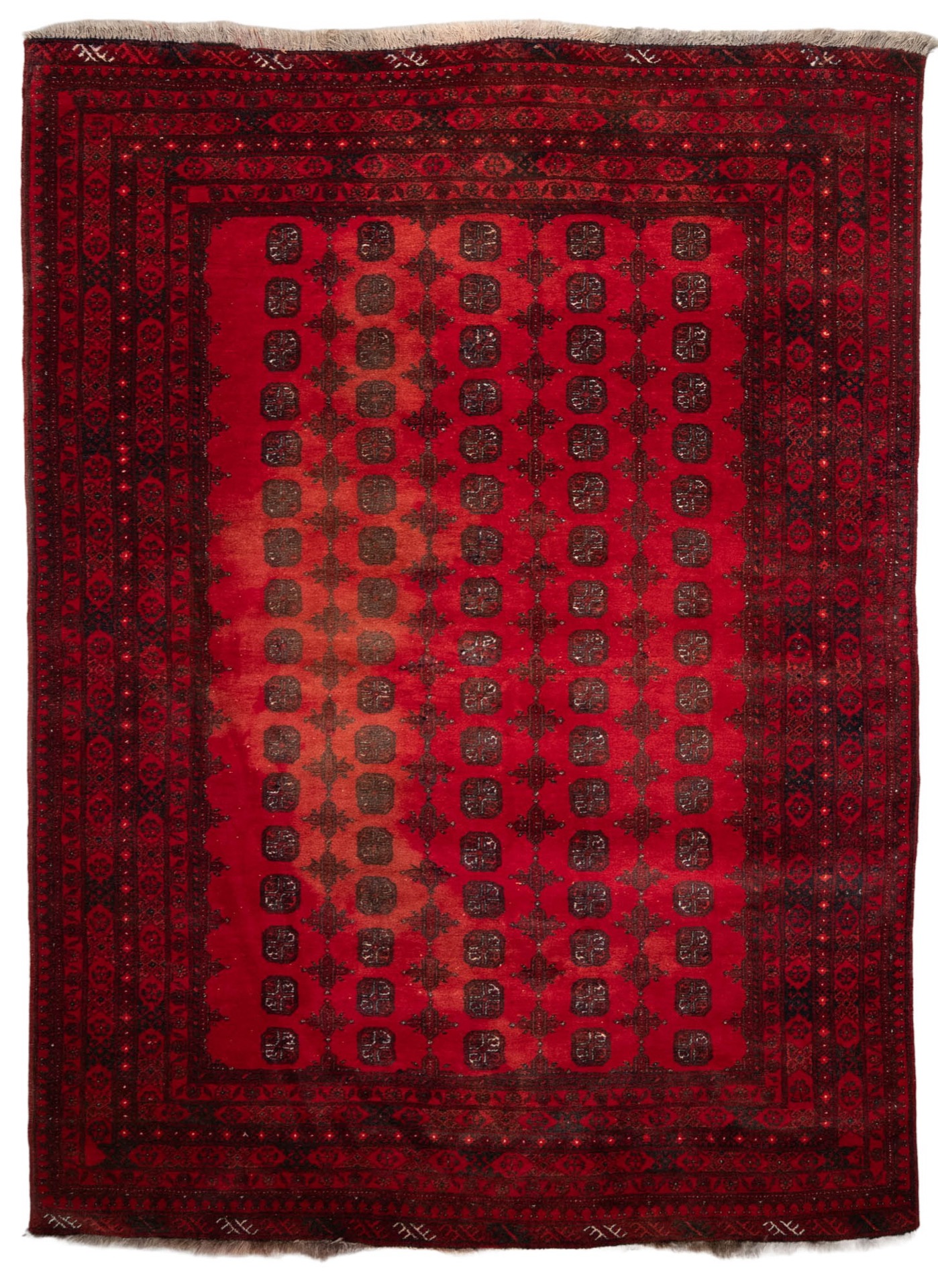 71902 Afghan